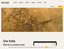 Tablet Screenshot of facturis.com